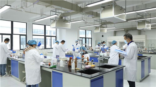 強化技能比拼主陣地 筑牢質(zhì)量安全防線——瀘江首屆檢驗檢測機構(gòu)檢驗?zāi)芰Ρ葘Ρ任湓谒拇ɑぢ殬I(yè)技術(shù)學(xué)院舉辦